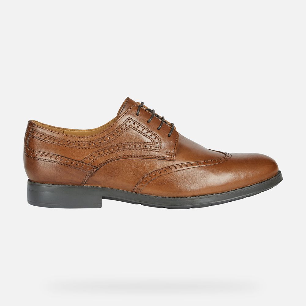 Sapatos Formais Geox Homem Marrom - Hilstone Wide - MKPBW3469